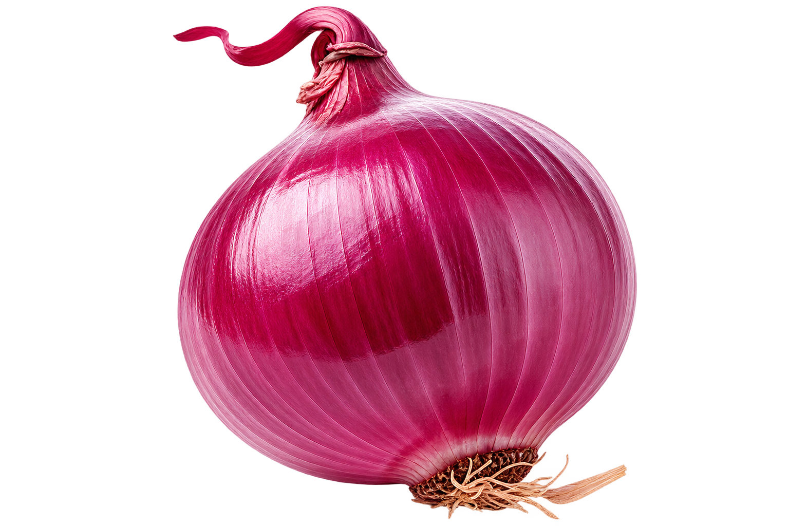 Barbary Plante pour les jardins, potagers et balcons